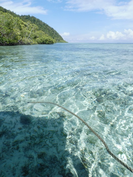 Dermaga pulau mansuar. Crystal clear water!