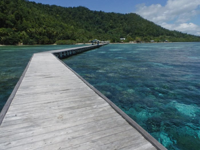 Kampung yenbuba. Reef yang cantik terlihat tanpa perlu terjun ke air