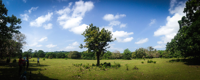 Setelah itu kita trekking lagi ke savana cidaon, banyak ranjau....