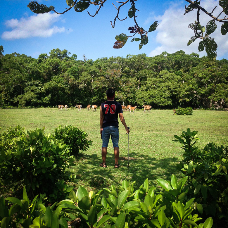 Ujung kulon lumayan saya rekomendasikan untuk destinasi akhir pekan. Pantainya oke, bawah lautnya lumayan sih beberapa spot( tapi masih jauh dari kata wow). Tapi, jika pergi bersama orang-orang yang menyenangkan, trip apapun akan menyenangkan pula, bukan?