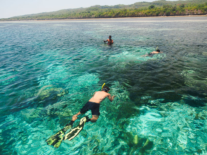 Snorkeling di depan pulau Tomia