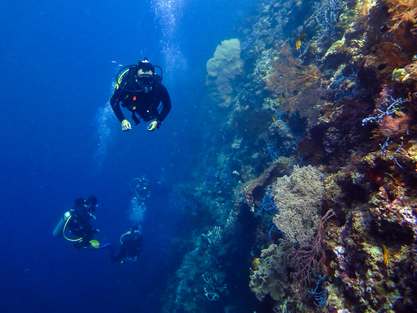 Diving di Menjangan, photo by Marischka Prudence