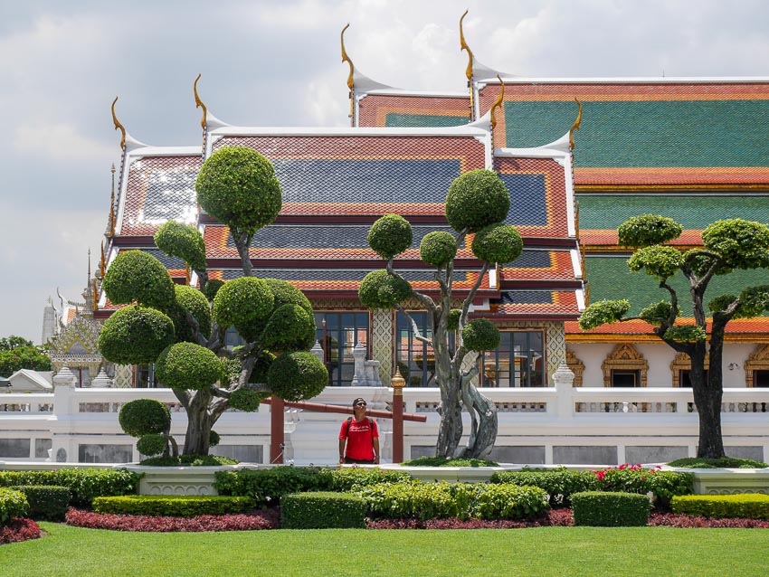 grand palace bonsai